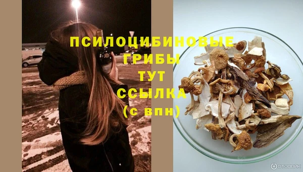 MDMA Premium VHQ Новокубанск