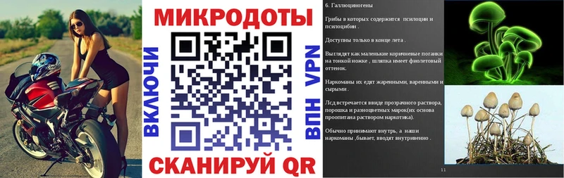 darknet наркотические препараты  купить закладку  Елец  Галлюциногенные грибы GOLDEN TEACHER 