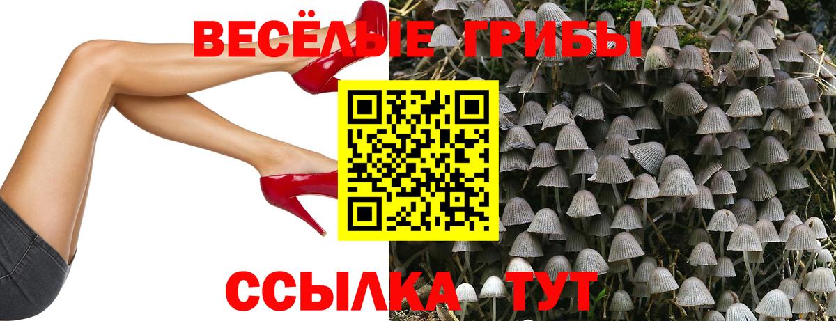 Псилоцибиновые грибы ЛСД Елец